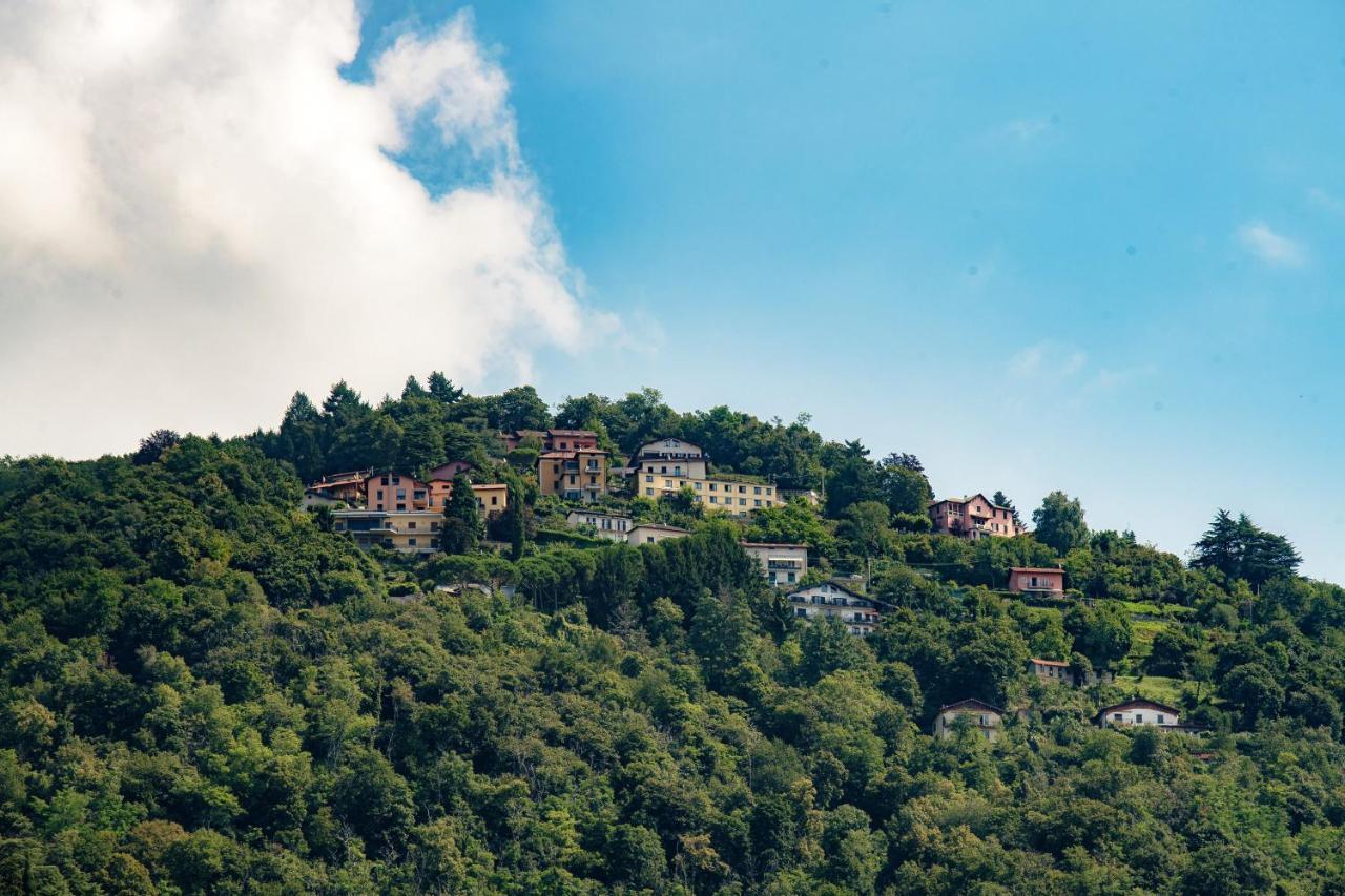 Caesar On - By House Of Travelers - * Como